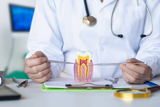 Best Same-Day Emergency Dental Services in Point, TX